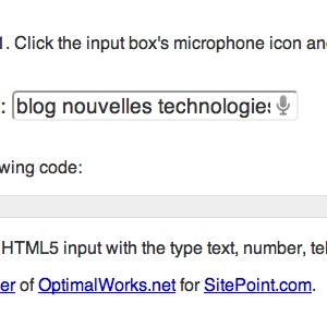 Comment faire pour utiliser le champ de saisie vocale HTML5 ?