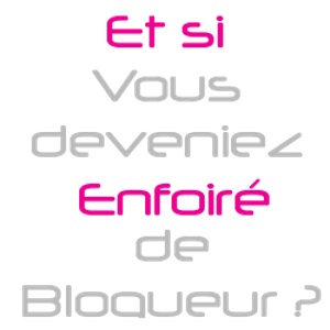 Les Enfoirés de Blogueurs made in 2011
