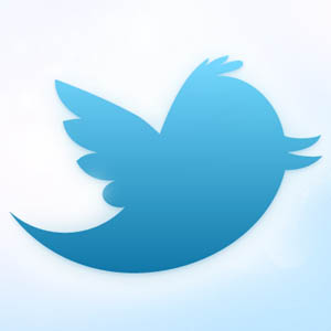 8% d&rsquo;utilisation quotidienne pour Twitter, une hausse de 2% par rapport à 2010