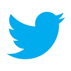 Twitter, un nouvel oiseau pour son logo