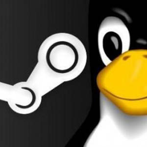 Valve va lancer un première version bêta de Steam sous Linux en octobre