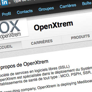 Les nouvelles pages LinkedIn dédiées aux sociétés sont prêtes à être dévoilées