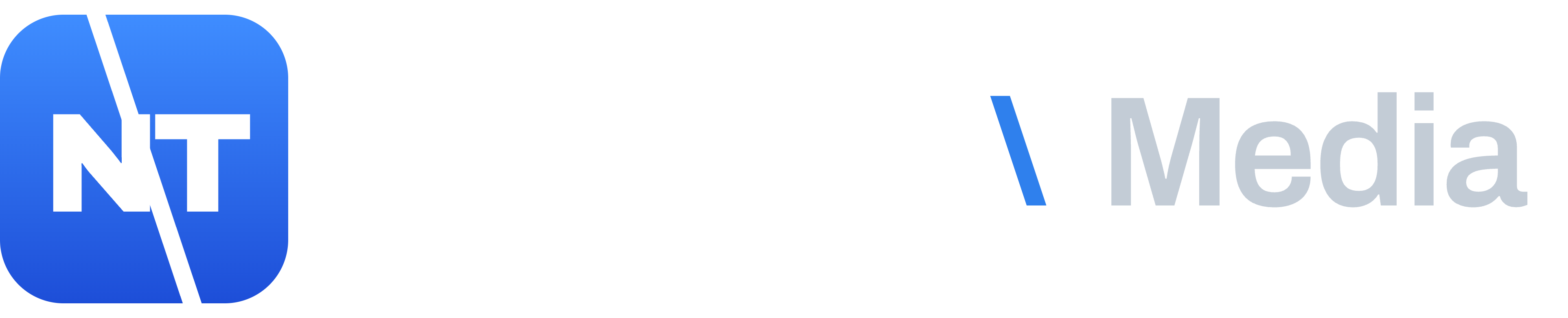 Logotype + icône — clair