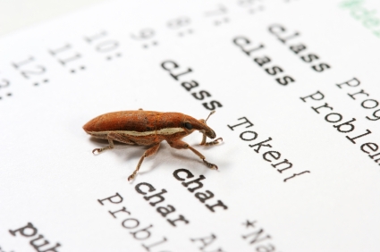 10 étapes pour apprendre rapidement un nouveau langage de programmation - Lutte contre les bugs