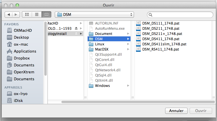 Découvrez le Synology DiskStation DS411 - Choix du DSM