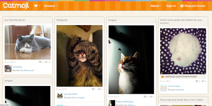 Catmoji, un Pinterest pour les chats ! - Catmoji est sans fioriture des photos d'affectueux chats