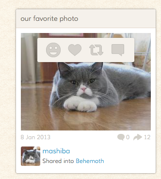 Catmoji, un Pinterest pour les chats ! - Possibilité de réagir sur les différents médias