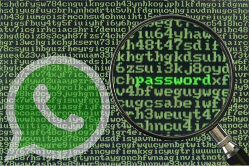 Une vulnérabilité dans WhatsApp pour Android permet de lire vos conversations