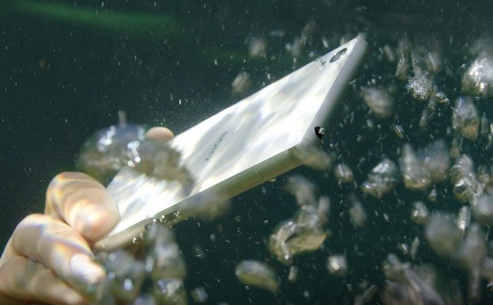 sony xperia z4 compact et z4 ultra diverses informations 1