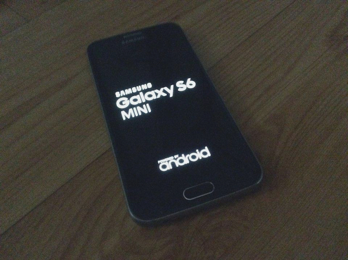 Galaxy S6 Mini : vue de face