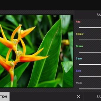 android 4 4 arrive avec une nouvelle application de retouche photo 1