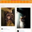 catmoji un pinterest pour les chats 1