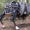des chiens robots maintenant sous la garde de google x 1