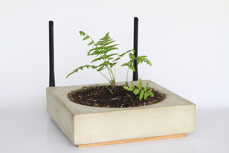envie de faire pousser une plante sur votre routeur 1