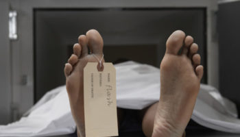 flash devrait disparaitre dans deux ans 1