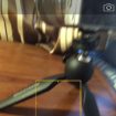 ios 8 la photographie en time laps semble incroyable 1