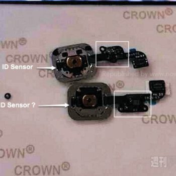 iphone 6 le nouveau capteur dempreintes digitales reveles 1