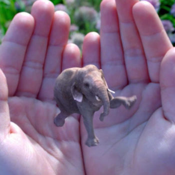 la derniere video du magic leap nous etonne encore 1 1