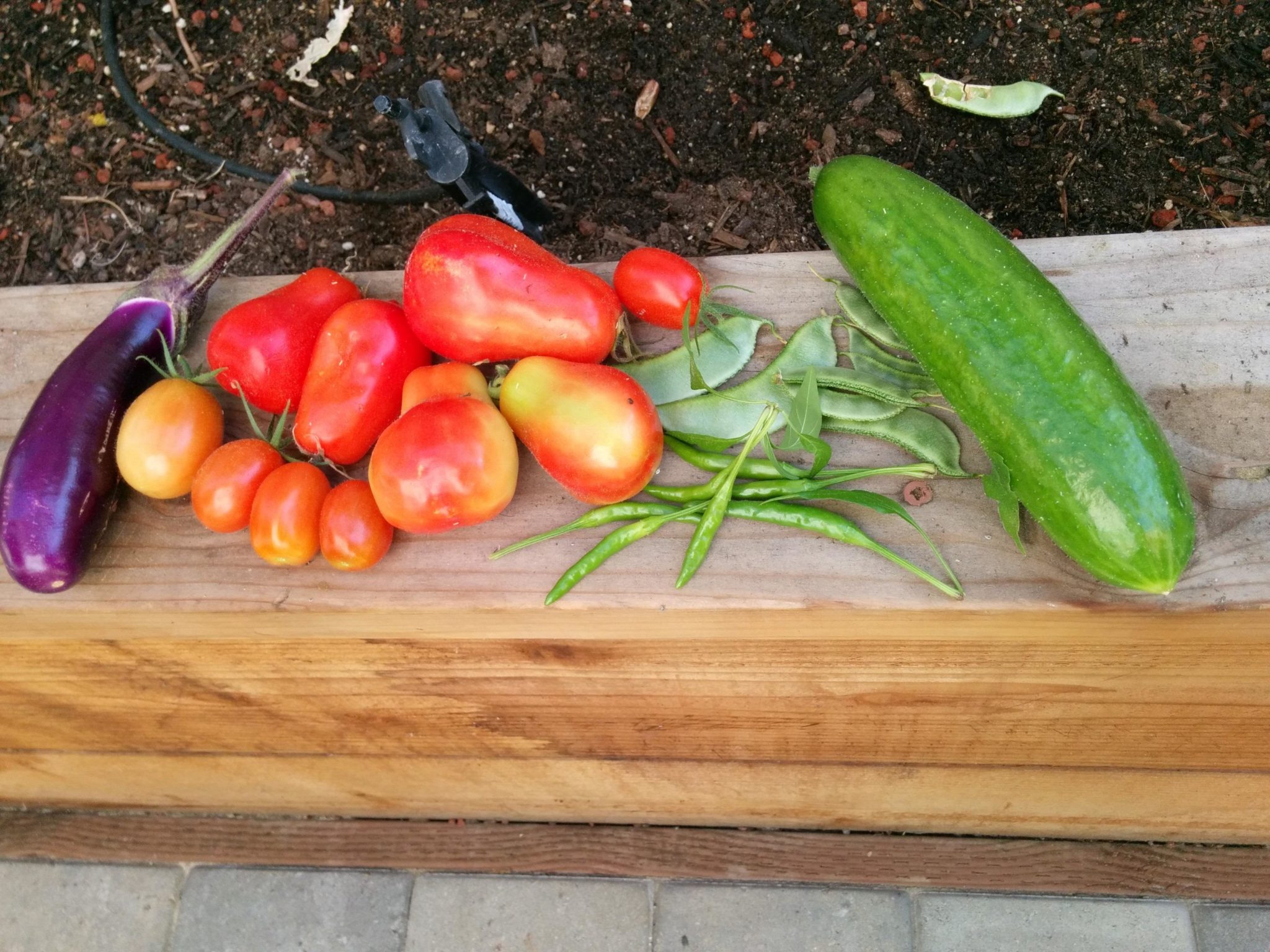 les premieres photos prises avec un nexus 5 affichees sur google 1