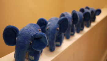 les programmeurs php sunissent pour faire de lelephpant orange une realite 1