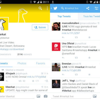 meerkat video live 1