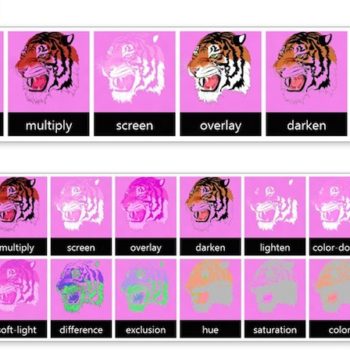 microsoft collabore avec adobe pour spartan 1