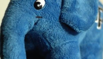 php 5 5 0 est officiellement dans les bacs 1