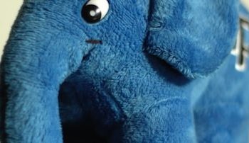 php 5 5 0 est officiellement dans les bacs 1