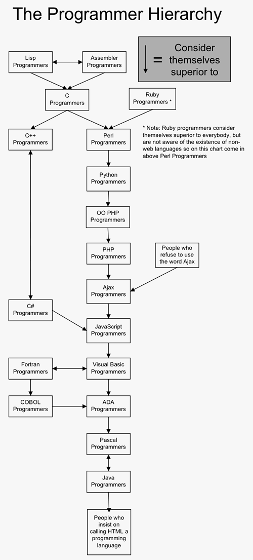 programmer hierarchy 1