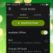 spotify permet de mettre toute votre musique offline avec un bouton 1