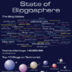 state of the blogosphere 1