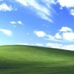windows xp est officiellement mort sa prairie aussi 1