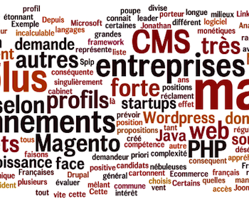 wordpress magento et les autres quelles positions sur le marche de lemploi 1