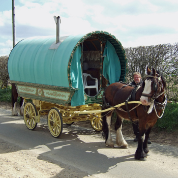 la carte sim egalement micro sim freemobile devoilee 1