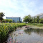 Honor 5C Sample Picture