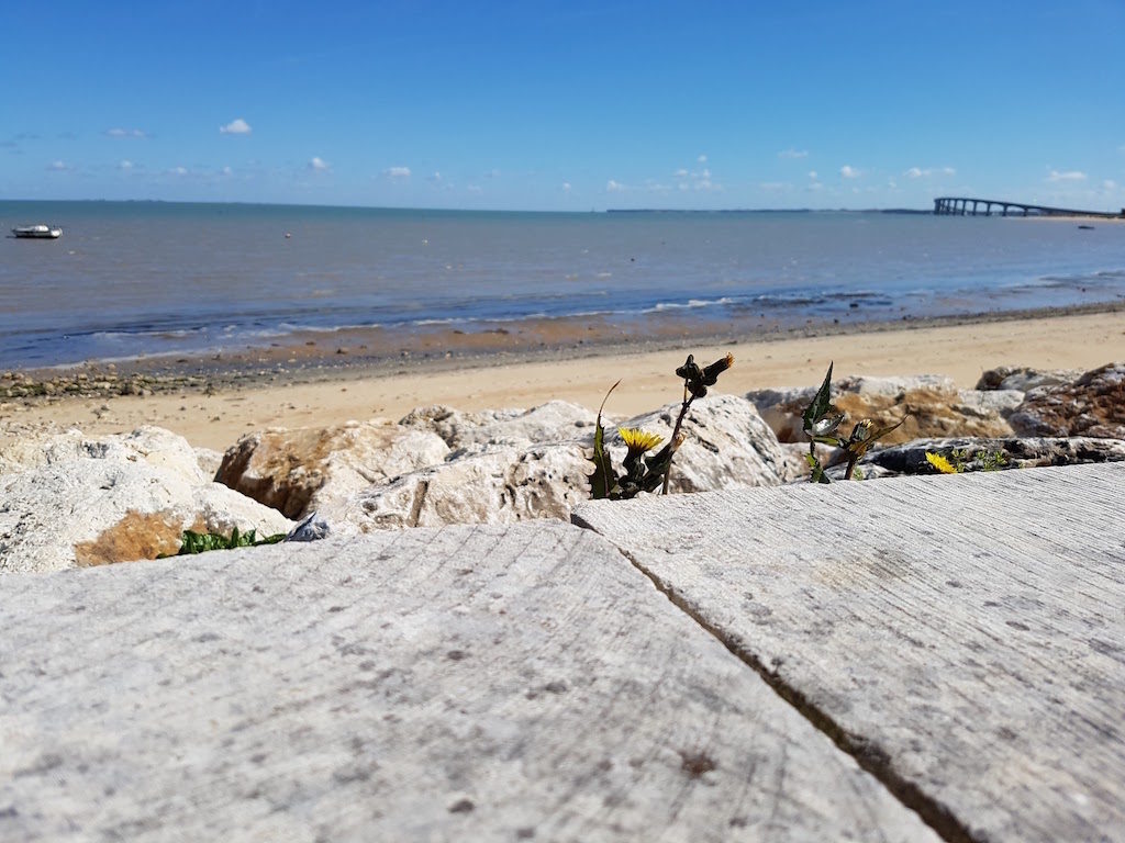 Test du Samsung Galaxy S7 : le fleuron 2016 venu de Corée 57 P20160501 112453