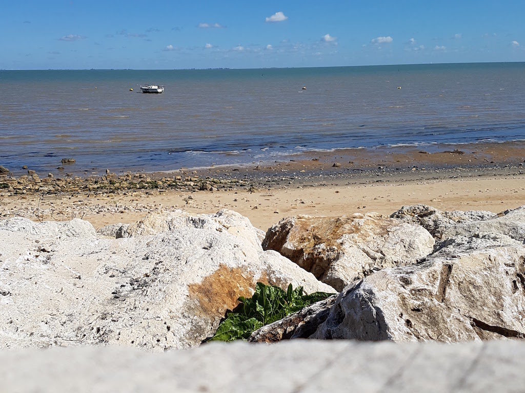 Test du Samsung Galaxy S7 : le fleuron 2016 venu de Corée 70 P20160501 112500