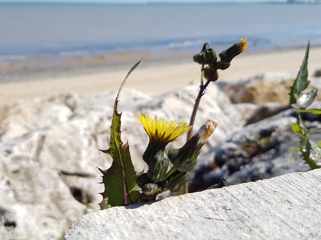 Test du Samsung Galaxy S7 : le fleuron 2016 venu de Corée 69 P20160501 112508