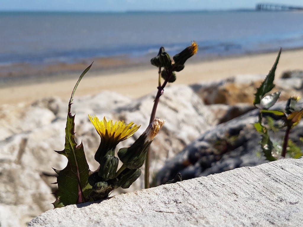 Test du Samsung Galaxy S7 : le fleuron 2016 venu de Corée 68 P20160501 112520