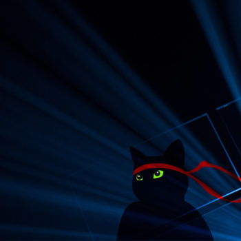 ninjacat