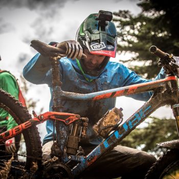 ambassadors cube action team