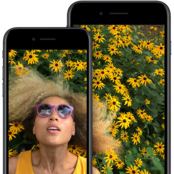 display sizes large 2x