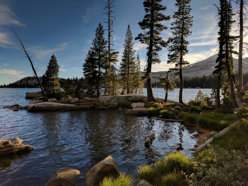 Google exhibe la caméra du Pixel avec d'étonnantes images et vidéos 4K ! 52 13