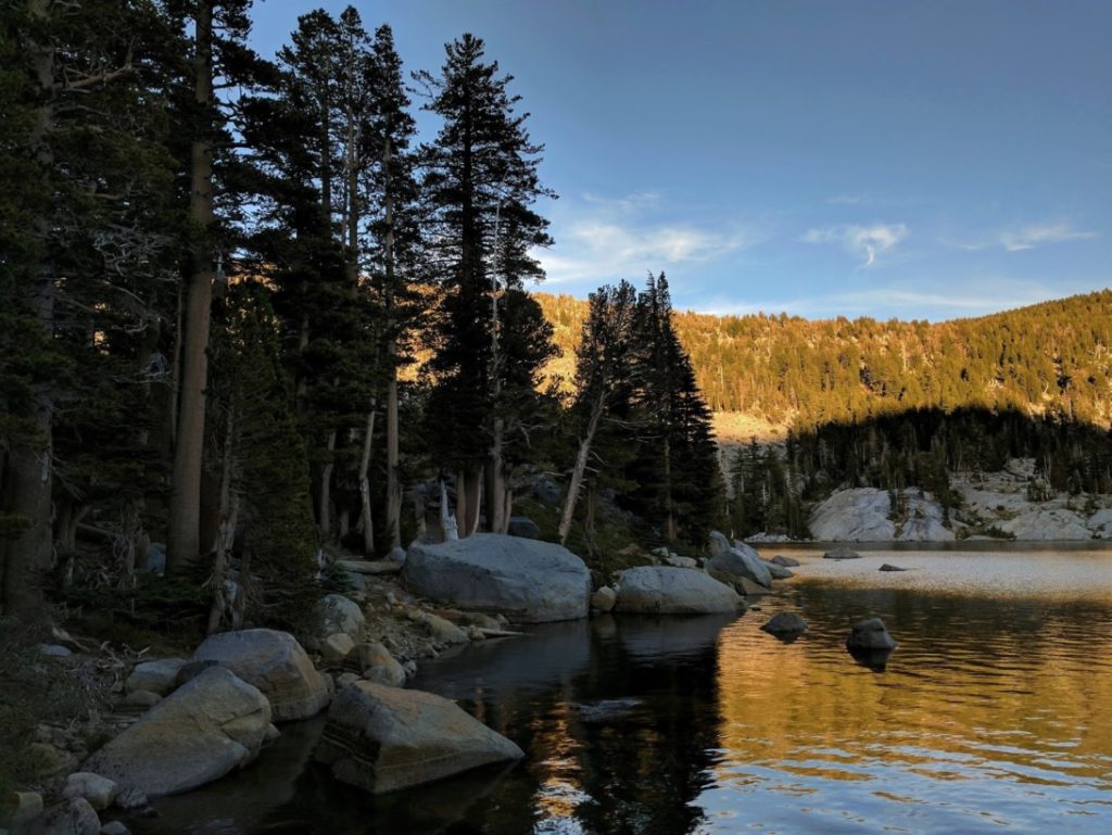 Google exhibe la caméra du Pixel avec d'étonnantes images et vidéos 4K ! 51 14