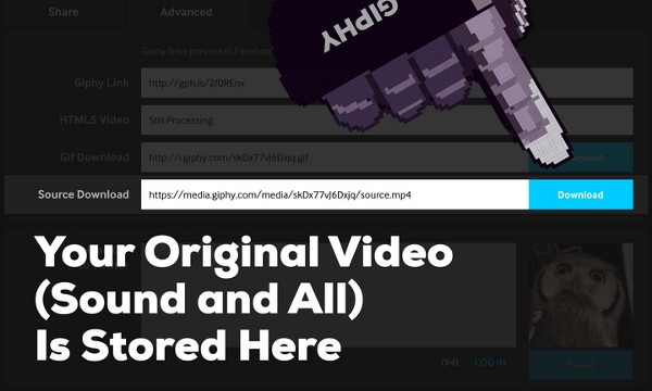 Comment importer votre compte Vine dans Giphy, et convertir vos vidéos en GIF 40 Import Vine dans Giphy 3