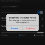 Comment télécharger et regarder des films et séries TV Netflix hors-ligne 59 Netflix 1964
