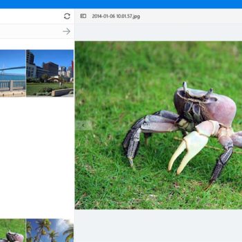 apps.48062.9007199266244048.ee356c5b 9836 423e a265 99d443bc5f84.304c6f08 6bc0 47f1 ada0 1ca9b183e55a