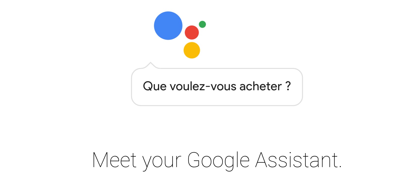 Google Assistant Paiements