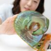 LG rollable OLED display flexible rollable