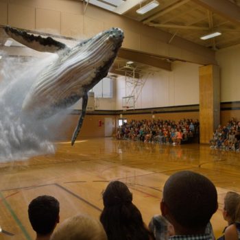 magic leap still